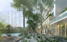 Video giới thiệu