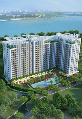 Tổng quan dự án