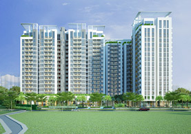 Tổng quan dự án